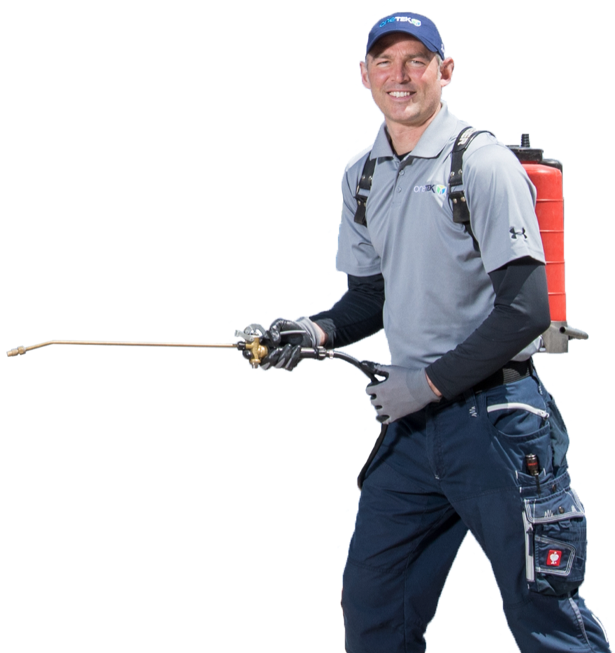 Pest control services in Barrie, GTA and Muskoka